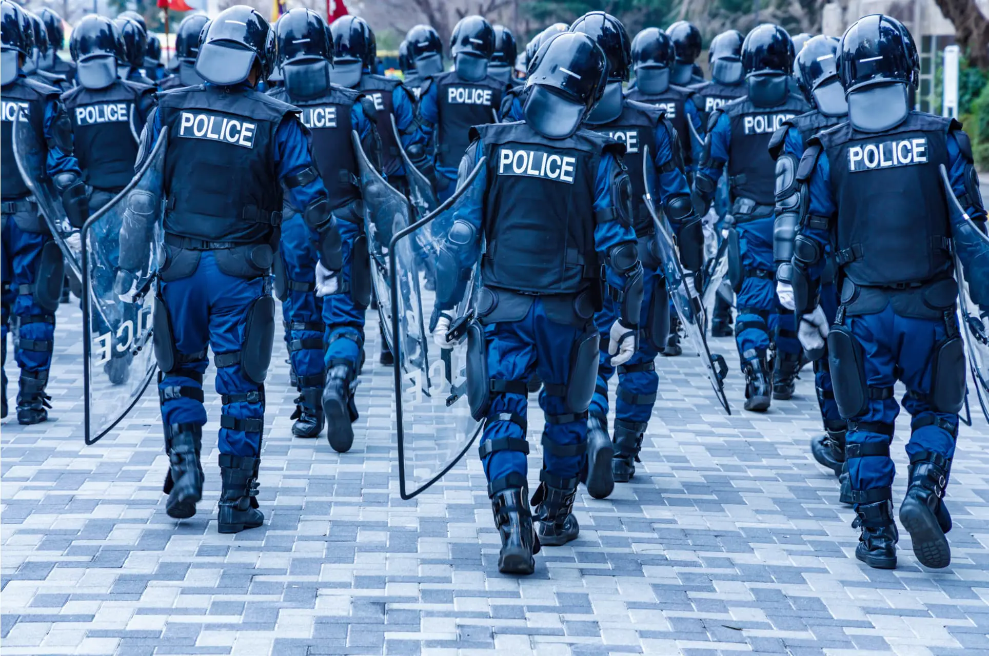 Anti-Riot Control Course Image